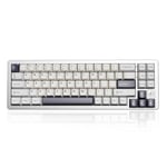 YUNZII AL71 75% Clavier Mécanique,Aluminium CNC, Hot Swappable Gasket, 2.4 GHz sans Fil BT5.0/USB-C Gaming Clavier,NKRO Programmable RGB pour Win/Mac(Argent, Cristal Blanc Switch)