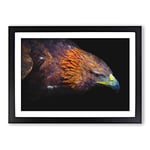 Big Box Art Golden Eagle Vol.3 Painting Framed Wall Art Picture Print Ready to Hang, Black A2 (62 x 45 cm)