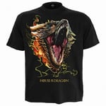 Spiral Direct Unisex Adult Dragon Drogon House Of The Dragon T-Shirt - XXL