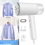 Dayplus Handheld Garment Steamer - 3000W Powerful, Vertical Steaming, 200ml Tank