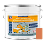 Peinture façade Procom crépi, façade à relief, imperméabilisation et protection des façades - Durable jusqu'à 10 ans Argile (ral 050 60 40) 10 litres