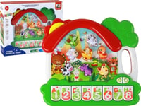 Leantoys Organ Pianos Pets To Learn Engelska Pedagogisk Panel