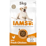 IAMS Complete Dry Dog Food for Adult 1+ Large Breeds with Chicken 5 kg