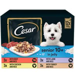 CESAR Senior 10+ Deliciously Fresh Wet Dog Food Pouches Aged Dogs, Mixed Selection in Jelly, Suitable for Senior Dogs Aged 10+, Pack of 4 (4 x 12 Pouches x 100 g)