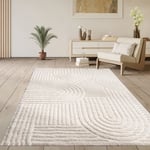 Paco Home Tapis Salon Poil Long Shaggy Scandinave Boho Uni Pelucheux Arc-en-ciel Crème 120x160 cm