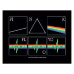 Pyramid International Pink Floyd Poster encadré Dark Side of the Moon Heart Beat Design Cadre 30 x 40 cm Produit officiel