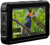 ATOMOS Shinobi - 5” HDR Photo & Video Monitor