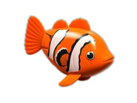 Rainbow Reef Fish - Clown Fish