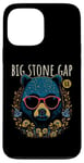 Coque pour iPhone 13 Pro Max Big Stone Gap Virginia USA Motif ours insolite