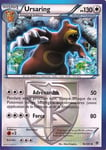 Carte Pokémon 76/101 Ursaring 130 Pv Série Bw Explosion Plasma Neuf Fr