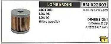 Filtre Diesel Lombardini LDA96 LDA97 Motoculteur 273.2175.009