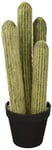 ASA 66216444 Cactus Bougie en plastique Vert