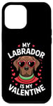 iPhone 12 Pro Max Chocolate Labrador My Valentines Hearts Day Dog Mom Dad Case