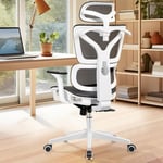 Felixking - Chaise de bureau, chaise de bureau ergonomique à dossier haut, chaise de bureau haute, accoudoirs 3D, support lombaire réglable avec