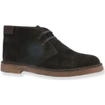 Chaussures Café Noir  CAFENOIR Stringata Stile Clark Uomo Verde Scuro TD6910