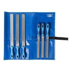 Pferd 11800555 Type Cut 1 Machinist's File Set, Multi-Colour, 200/300 mm, 6-Piece