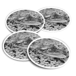 4x Round Stickers 10 cm - BW - Baby Alligator Swamp Wild  #38268