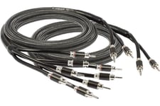 Goldkabel Executive LS 440 KRYO Bi-wire med 3 års garanti