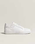 Polo Ralph Lauren Court Luxury Leather Sneaker White