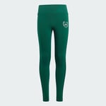 adidas Collegiate Graphic Pack High Waist Leggings Kids