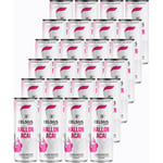 Celsius Raspberry Acai 24-Pack