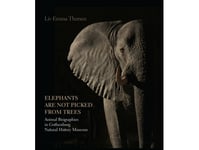 Elephants Are Not Picked From Trees | Liv Emma Thorsen | Språk: Engelsk