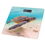 Pèse-personne Little balance Tortue USB-R rechargeable