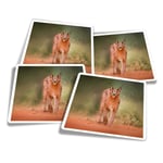 4x Square Stickers 10 cm - Caracal African Lynx Cat  #3170