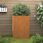 Jardinière Bac a Fleur Gris 52x48x75 cm Acier corten 90354