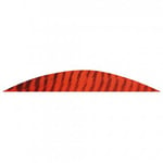 Gateway Feathers Faux Barred Red 5 1/2" LW Banana Cut 12st