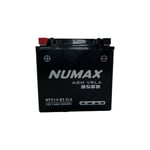 Numax - Batterie moto Premium agm YT14BS / YTX14BS sla 12V 12Ah 200A