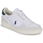 Baskets basses Polo Ralph Lauren  POLO COURT PP