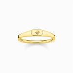 Thomas Sabo Delicate Star Ring in Yellow Gold Finish S58