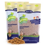 2 x 5 kg de vers de farine séchés Lyra Pet®