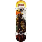 Tony Hawk Signature Series 180 Complete Skateboard - Hawk Roar 7.75"