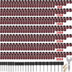 531 Pièces Tambour de Poncage Ensemble pour Dremel Outils Rotatifs, avec 504 Pièces Tambour de Poncage 24 Pièces Tambour Mandrinet 2 Pièces Mandrin à