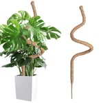 Wigearss Tuteur Plante Intérieur, Tuteur Grimpant en Coco de 160 cm, Support Pliable en Coco de 7 mm de Largeur pour Plantes Grimpantes, Support pour Jardin Domestique, Plante Monstera