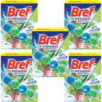 Bref Lot de 5 Powers Activ' Pin ¿ Bloc WC (50g) ¿ Produit Nettoyant Détartrant toilettes