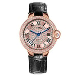 Basfur Dress Watch Fe-Montre-015-01