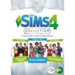 SIMS 4 Collection #5 Jeu PC