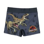 Badshorts för pojkar Jurassic Park Mörkgrå 5 år