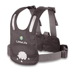 LittleLife Child & Toddler Safety Walking Harness & Reins