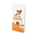 IAMS Puppy Small-Medium Breed - 12 kg