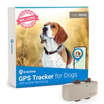 Tractive GPS Dog Tracker, Market leader, Worldwide real-time location tracking, Escape Alerts, Monitor Activity & Get Health Alerts, Brown