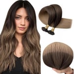 RUNATURE Extension Cheveux Naturel Keratine Balayage Extension Pose a Chaud Keratine Balayage Brun Foncé à Brun avec Blond Cendré U Tip Remy Hair Extensions 12 Pouces/30cm 50 Mèches/40g #2/6/18