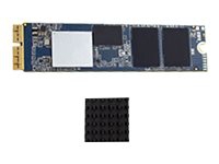 OWC Aura Pro X2 - SSD - 1 TB - inbyggd - PCIe 3.1 x4 (NVMe) - för Apple Mac Pro (Sent 2013)