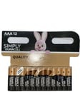 Duracell Simply AAA Alkaline Batteries - 1 Pack of 12