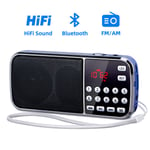 Radio Portable AM FM J-189,haut-parleur stéréo de poche,météo,Bluetooth,Radios numériques,Rechargeable USB - Type Bleu