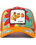 Chapeau Avec Visière Goorin Bros. Clown Fish Homme Synthétique Orange