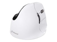 Evoluent VerticalMouse 4 Right Mac - Souris verticale - pour droitiers - optique - 6 boutons - sans fil - Bluetooth - blanc